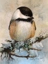 chickadee #2