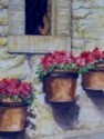 flower pots